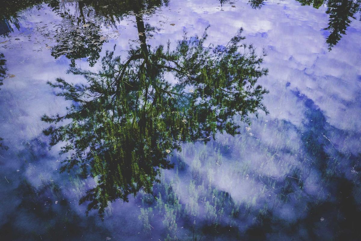 Politik Digital: Keterlibatan Media Sosial dalam Meningkatkan Partisipasi Politik Generasi Muda Pada Pesta Demokrasi 2024