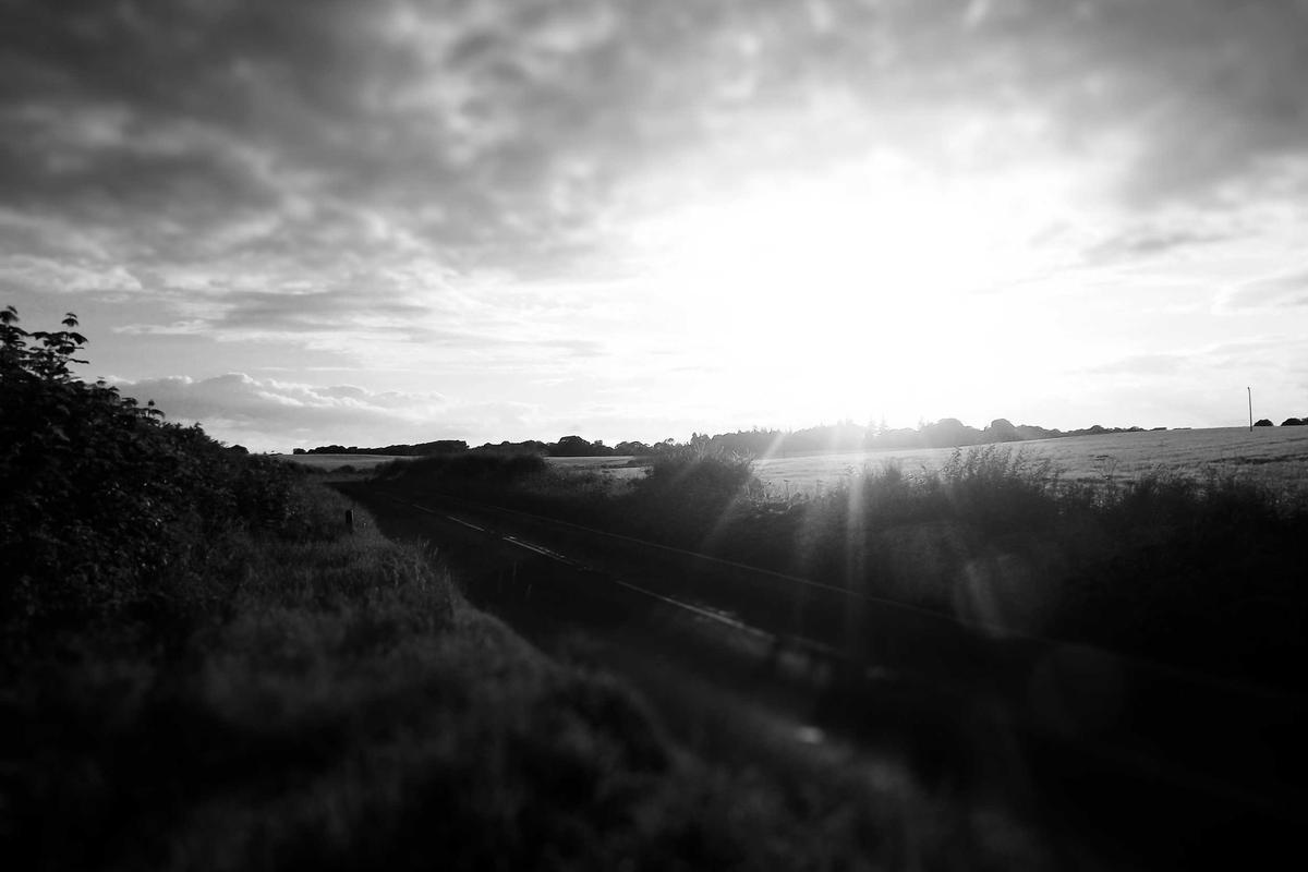 Krisis Minyak Goreng dari Sisi Ekonomi Politik – Fakultas Ilmu Sosial dan Ilmu Politik