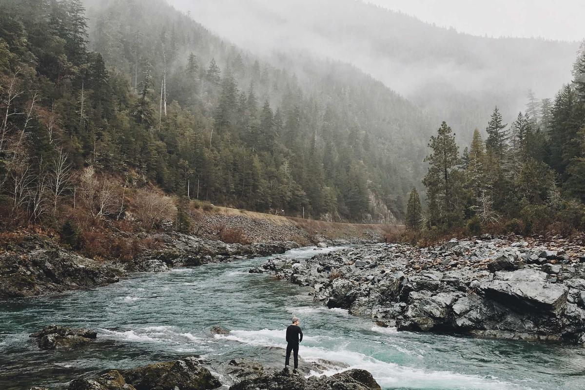 Presiden Prabowo dorong ekonomi