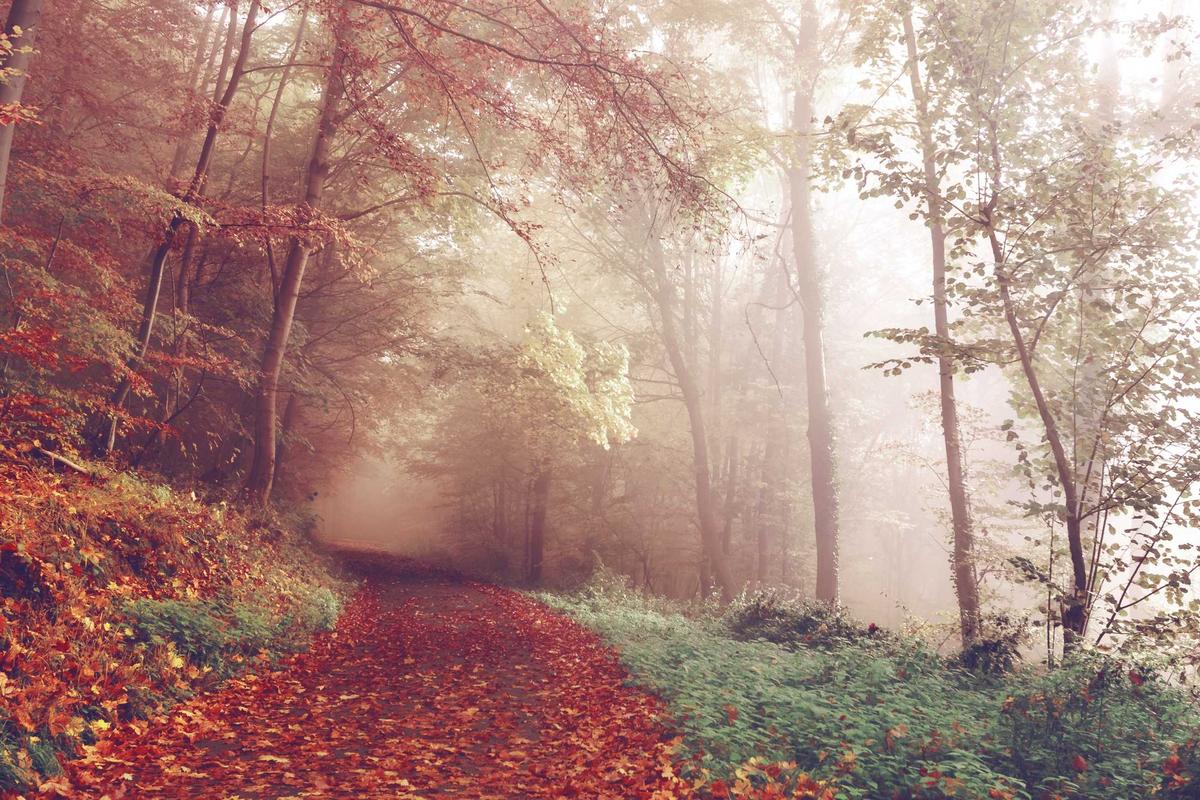 Menkeu Purbaya Temui Investor Potensial di AS, Paparkan Kekuatan Ekonomi Indonesia