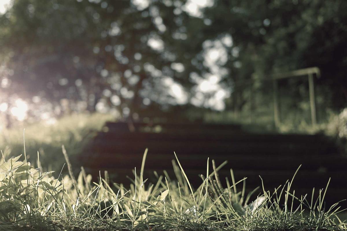 OPM Tuduh TNI Libatkan Warga Lokal hingga Kasus Meme Prabowo-Jokowi Jadi Berita Terpopuler Nasional