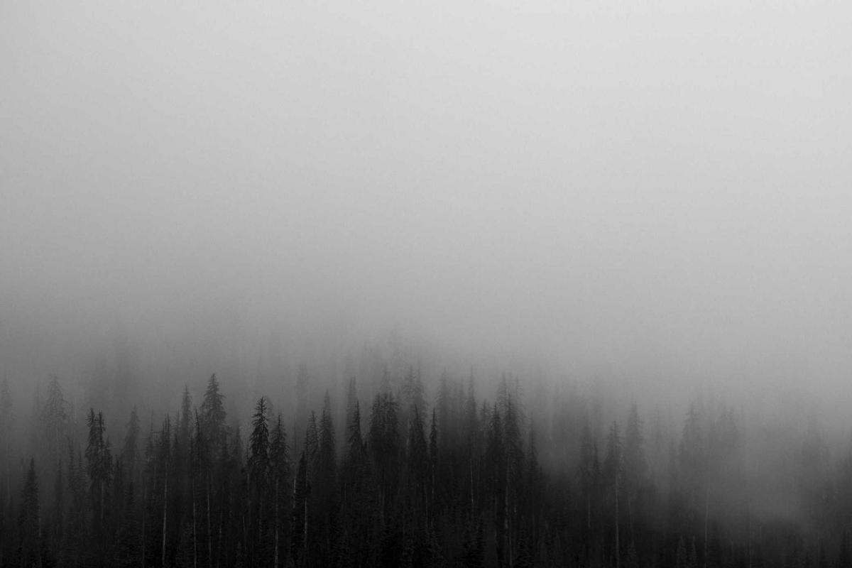 Transformasi ‘asabiyyah’ di era algoritmik dan dampaknya terhadap polarisasi sosial-politik Indonesia