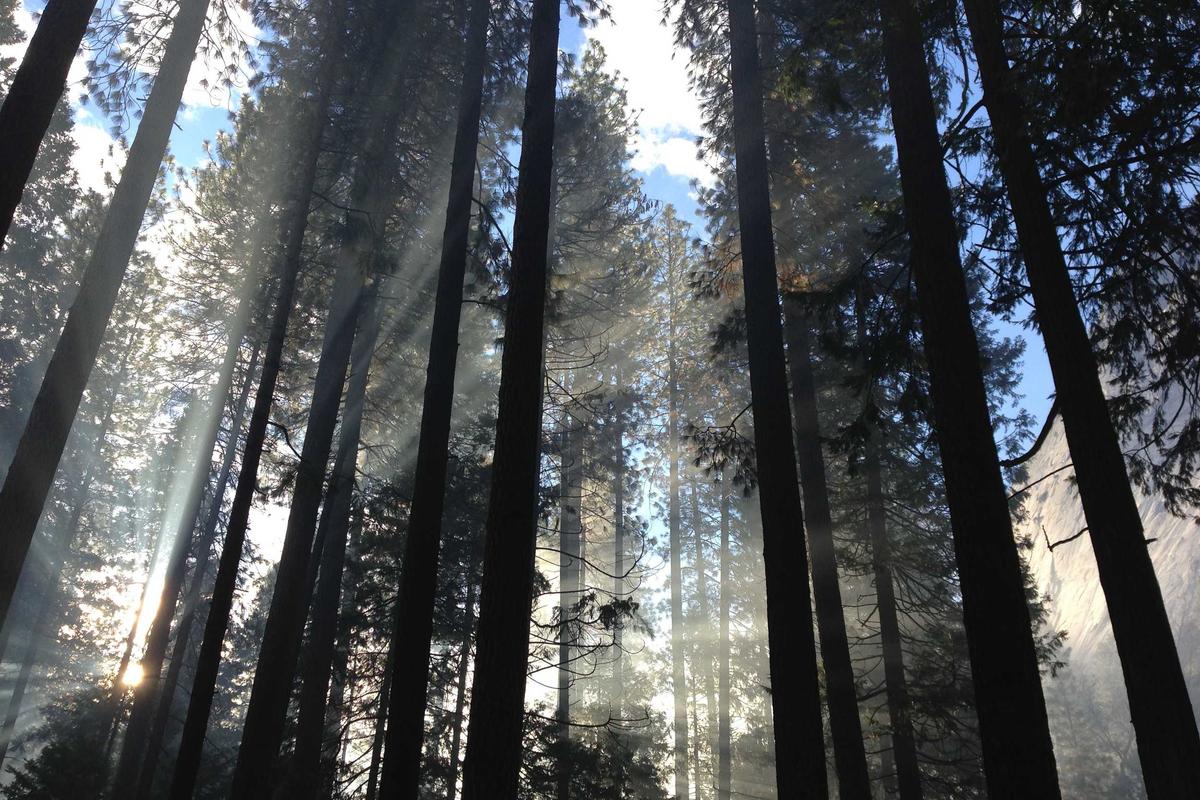 Pemkot Kediri Siap Sukseskan Sensus Ekonomi 2026