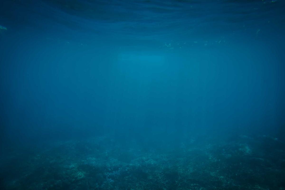 Pemilu 2024: Gen Z dan Milenial Sumbang 55 Persen Suara, ini fakta lengkapnya