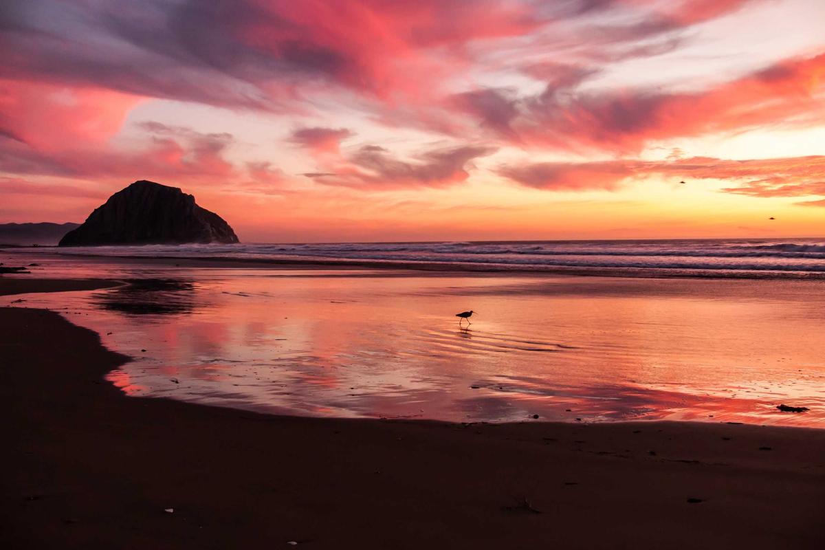 Dukung Pendataan Ekonomi, BPS Bengkulu Selatan Kunjungi Koperasi Rutan Manna